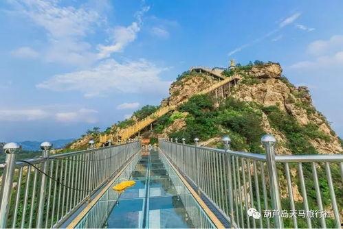 葫芦岛木栈道爆料最新消息,工程进度揭秘，美景即将呈现